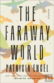 The Faraway World
