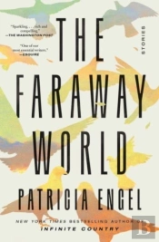 The Faraway World