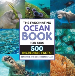 Bertrand.pt - The Fascinating Ocean Book For Kids