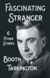The Fascinating Stranger And Other Stories