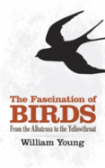 The Fascination Of Birds
