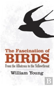 The Fascination Of Birds