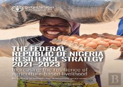 The Federal Republic Of Nigeria Resilience Strategy 2021-2023