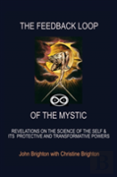 The Feedback Loop Of The Mystic