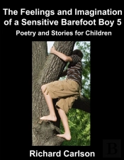 The Feelings And Imagination Of A Sensitive Barefoot Boy 5
