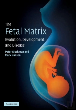 Bertrand.pt - The Fetal Matrix: Evolution, Development And Disease