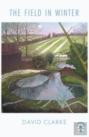 The Field In Winter
