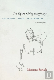 The Figure Going Imaginary