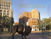The Fine Art Of Capturing Buffalo