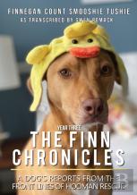 The Finn Chronicles