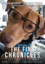 The Finn Chronicles