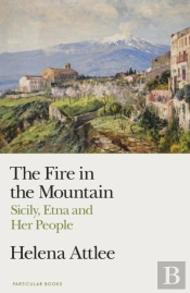 The Fire In The Mountain
