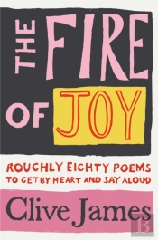 The Fire Of Joy
