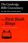 The First Book Of Kings