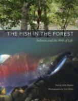 The Fish In The Forest