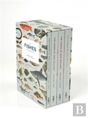 The Fishes Of New Zealand