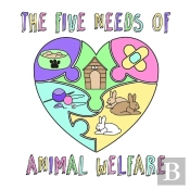 The Five Needs Of Animal Welfare