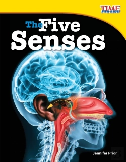 Bertrand.pt - The Five Senses