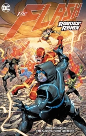 The Flash Vol. 13