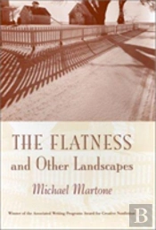 The Flatness And Other Landscapes