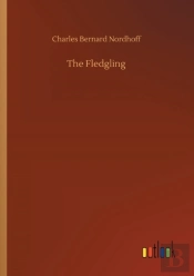 The Fledgling