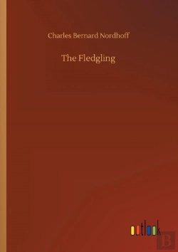Bertrand.pt - The Fledgling
