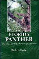The Florida Panther