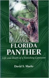The Florida Panther