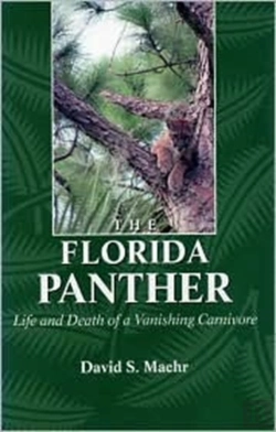 Bertrand.pt - The Florida Panther
