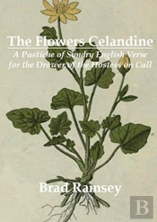 The Flowers Celandine: A Pastiche Of Sun
