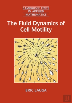 Bertrand.pt - The Fluid Dynamics Of Cell Motility
