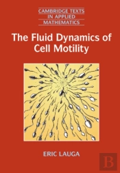 The Fluid Dynamics Of Cell Motility
