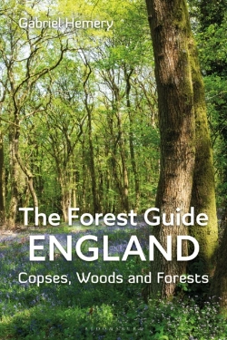 Bertrand.pt - The Forest Guide: England