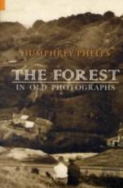 The Forest In Old Photographs