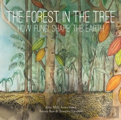 Bertrand.pt - The Forest In The Tree