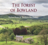 The Forest Of Bowland