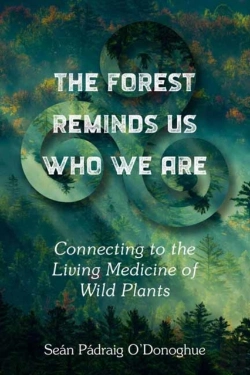 Bertrand.pt - The Forest Reminds Us Who We Are