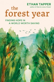 The Forest Year