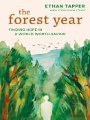 The Forest Year