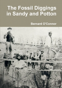 Bertrand.pt - The Fossil Diggings In Sandy And Potton