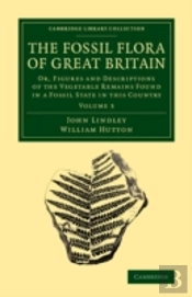 The Fossil Flora Of Great Britain
