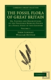 The Fossil Flora Of Great Britain