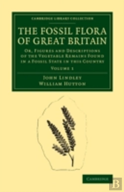 Bertrand.pt - The Fossil Flora Of Great Britain