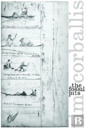 The Fossil Pits