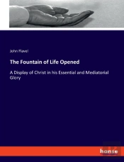The Fountain Of Life Opened