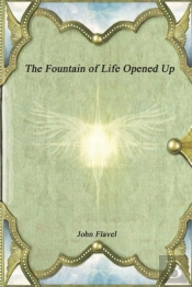 The Fountain Of Life Opened Up