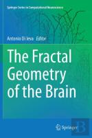 The Fractal Geometry Of The Brain