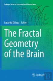 The Fractal Geometry Of The Brain