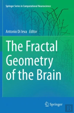 Bertrand.pt - The Fractal Geometry Of The Brain