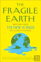 The Fragile Earth